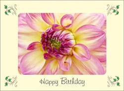Birthdays