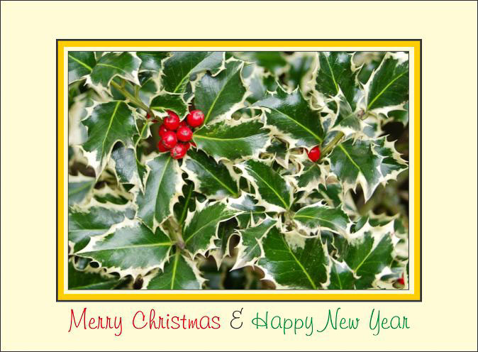 Christmas_Holly_Leaves.jpg