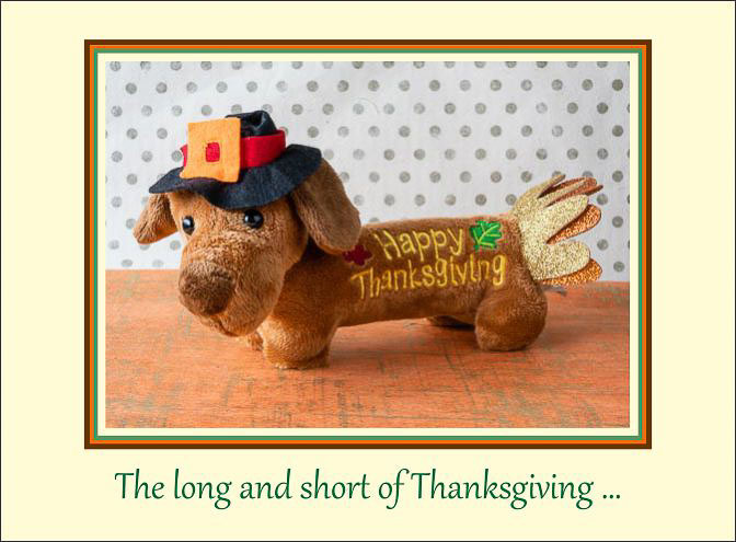 Thanksgiving_Dachshund.jpg