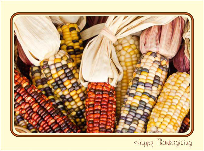 Thanksgiving_Indian_Corn.jpg