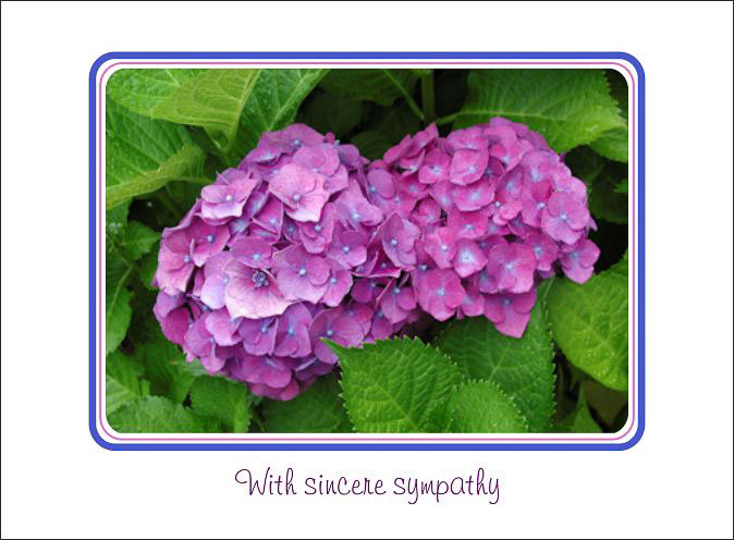 Hydrangea_Bouquet_Sympathy.jpg