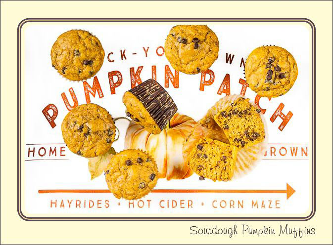 Sourdough_Pumpkin_Muffins.jpg