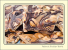 Peanut Butter Bark