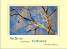 Nature Painting Pictures