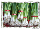 Scallions (Belated)